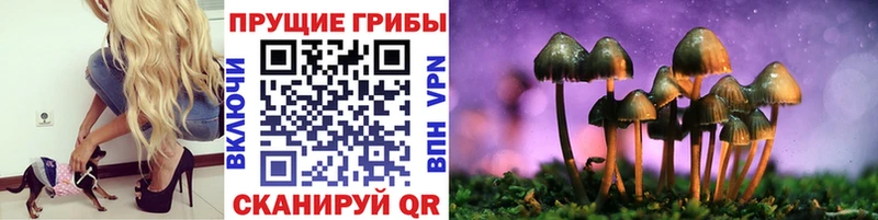 Псилоцибиновые грибы Magic Shrooms  закладки  Ртищево 
