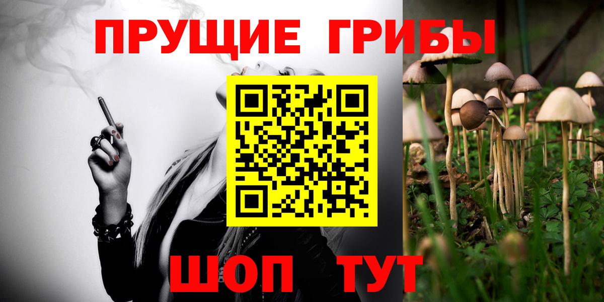 Псилоцибиновые грибы GOLDEN TEACHER Ртищево