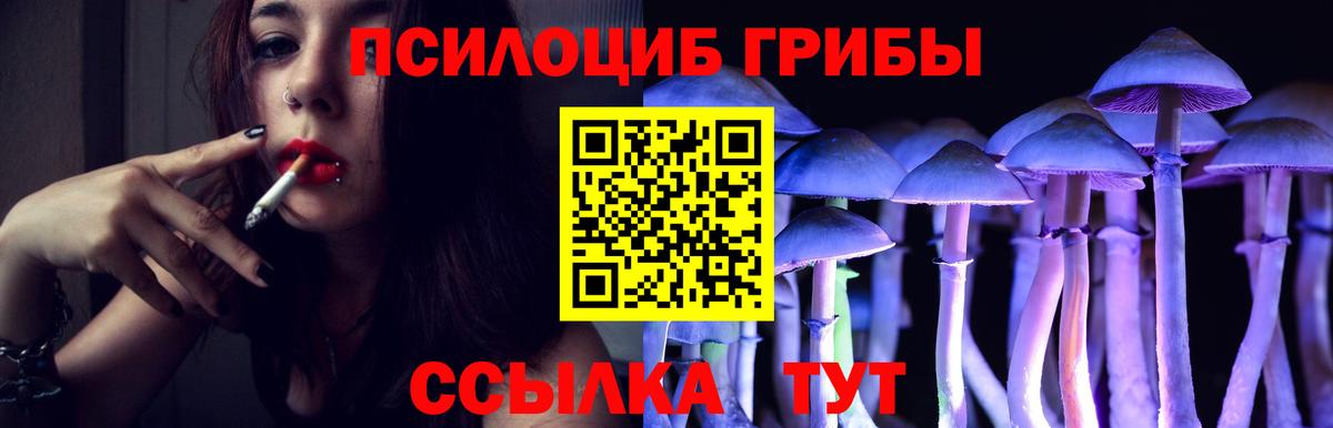 Галлюциногенные грибы ЛСД  Псилоцибиновые грибы ЛСД  Вход с VPN  Ртищево 